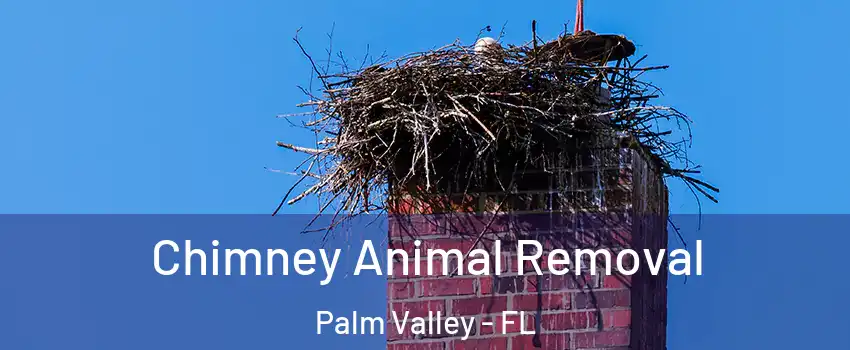 Chimney Animal Removal Palm Valley - FL