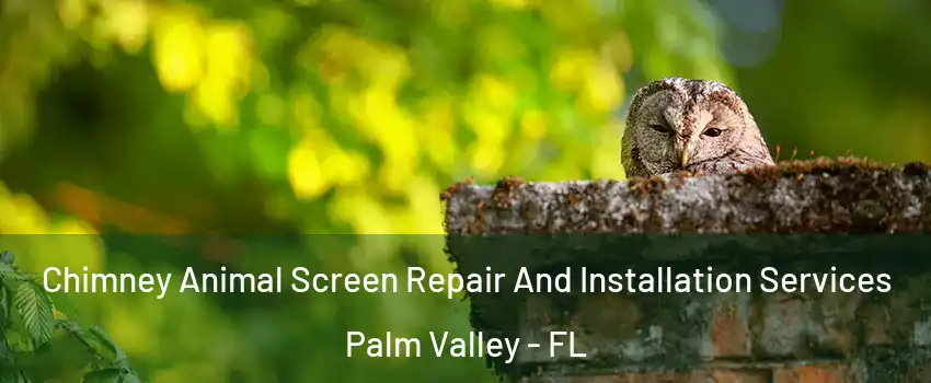  Chimney Animal Screen Repair And Installation Services Palm Valley - FL