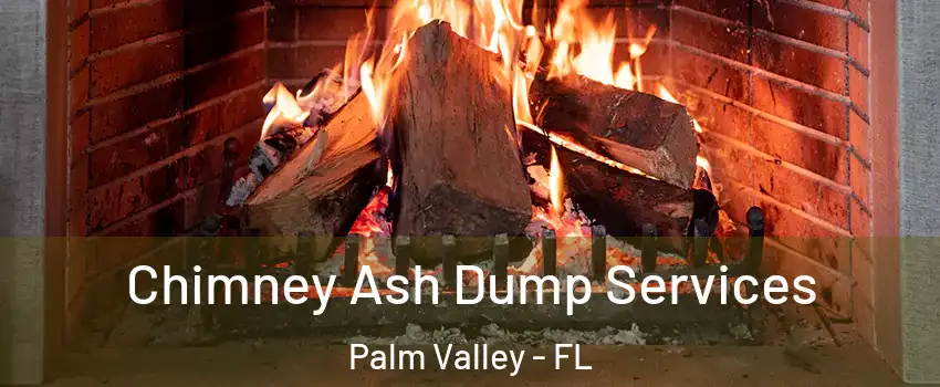  Chimney Ash Dump Services Palm Valley - FL