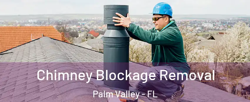  Chimney Blockage Removal Palm Valley - FL