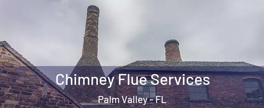  Chimney Flue Services Palm Valley - FL