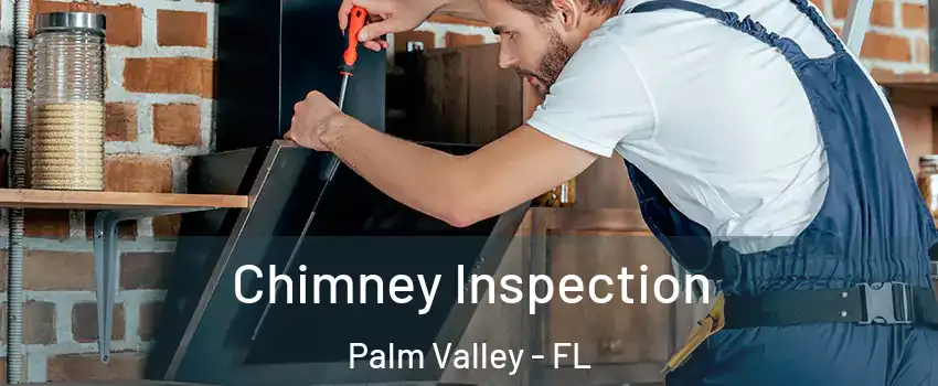  Chimney Inspection Palm Valley - FL