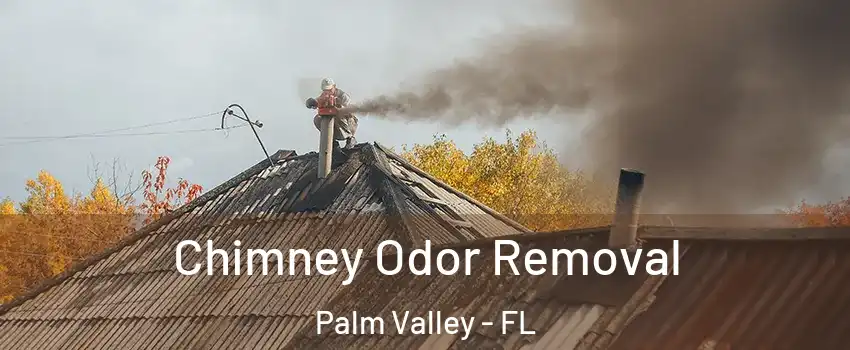  Chimney Odor Removal Palm Valley - FL
