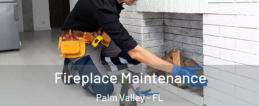  Fireplace Maintenance Palm Valley - FL