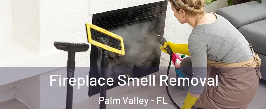  Fireplace Smell Removal Palm Valley - FL