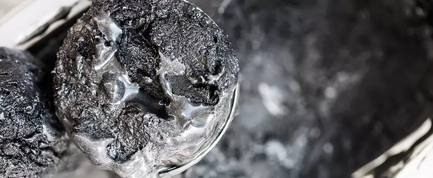 Clogged Dryer Vent Lint Cleaning in Palm Valley, Florida