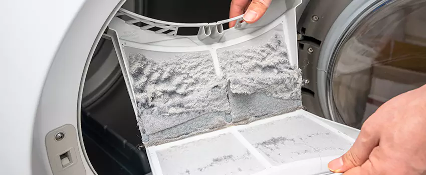 Best Dryer Lint Removal Company in Palm Valley, Florida