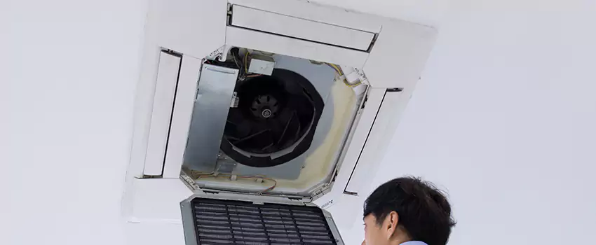 Benefits of Professional Air Duct Cleaning in Palm Valley, Florida