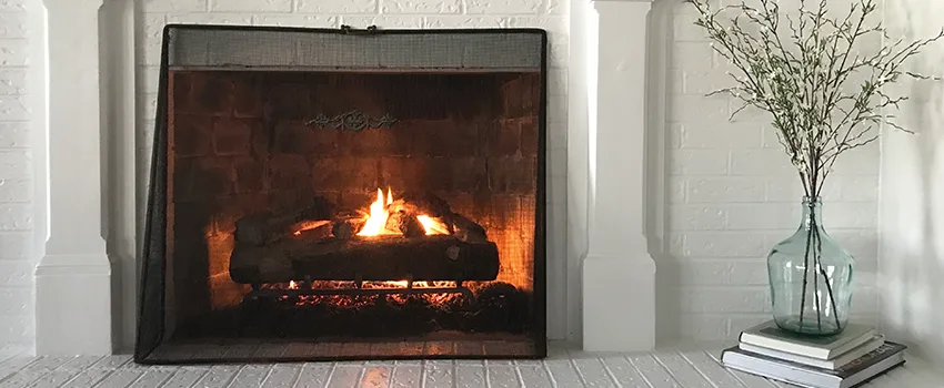 Cost-Effective Fireplace Mantel Inspection And Maintenance in Palm Valley, FL