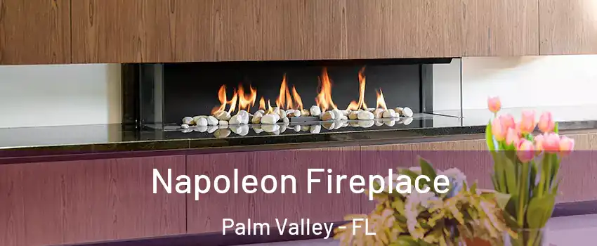  Napoleon Fireplace Palm Valley - FL