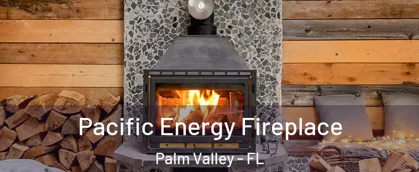  Pacific Energy Fireplace Palm Valley - FL